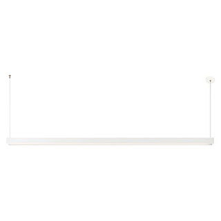 Glide Glass Downlight br   Dynamic Tunable White br   End Feed